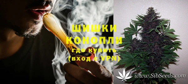 ПСИЛОЦИБИНОВЫЕ ГРИБЫ Армянск