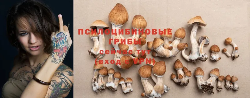 Псилоцибиновые грибы Magic Shrooms  как найти   Игра 