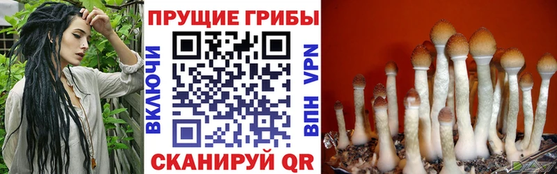 Псилоцибиновые грибы Psilocybine cubensis Игра